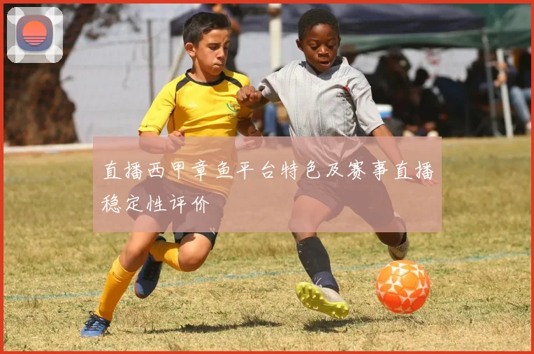 直播西甲章鱼平台特色及赛事直播稳定性评价
