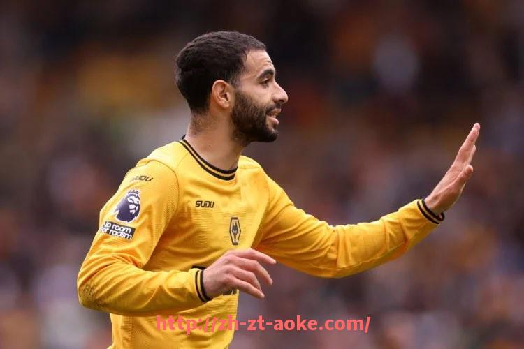 澳客足彩-意甲球队队员的表现与发展趋势